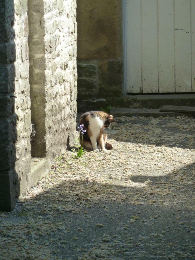 The Old Vicarage B&B Tideswell Dış mekan fotoğraf